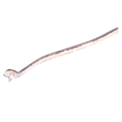 Acos (Lustre) GP45 Mono stylus